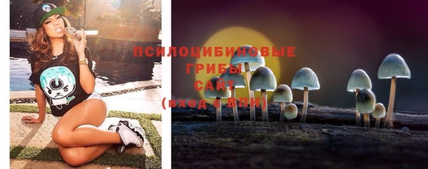 молекула духа Нея