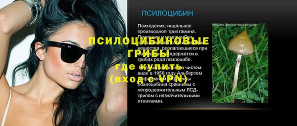 молекула духа Нея
