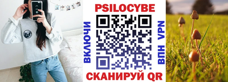 shop телеграм  Элиста  Псилоцибиновые грибы Magic Shrooms  как найти наркотики 