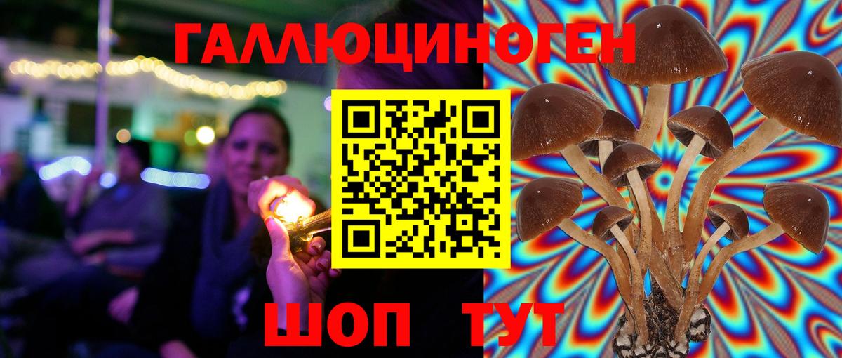 Галлюциногенные грибы Psilocybe  Вход с VPN  Галлюциногенные грибы MAGIC MUSHROOMS  Элиста 