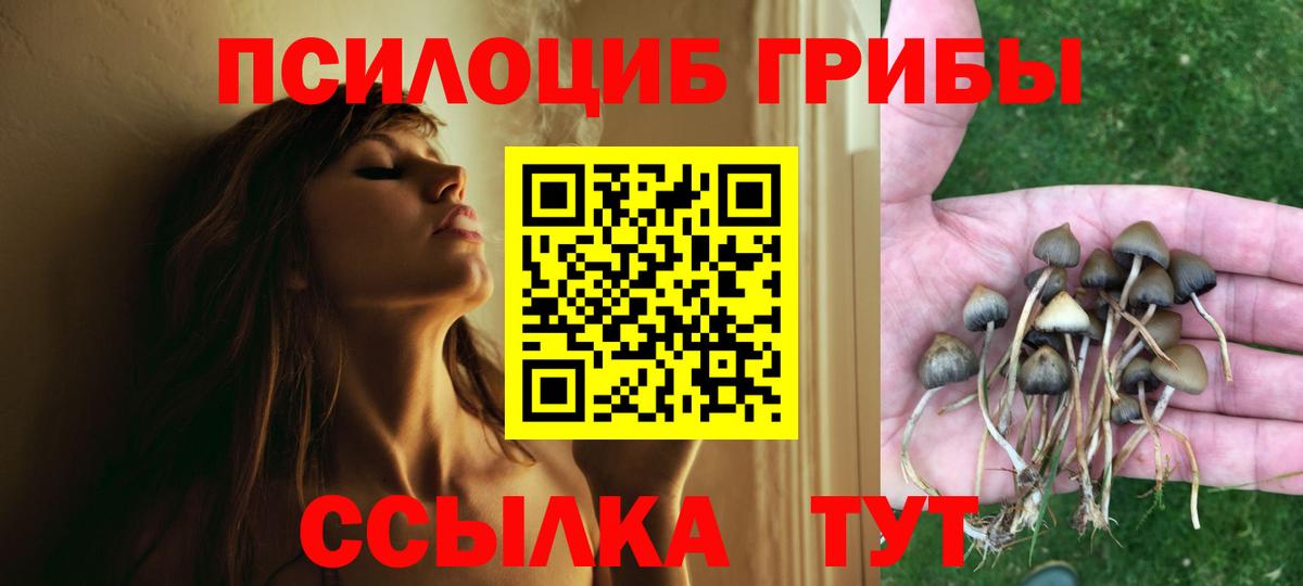 Галлюциногенные грибы ЛСД Элиста