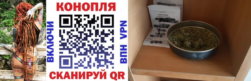 Бошки марихуана сатива  Элиста 