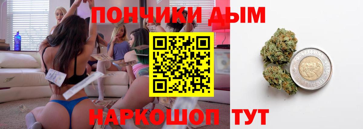 Элиста  Марихуана план  Вход с VPN  Каннабис индика 